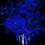 Projecteur RGB étanche pour arbres d'extérieur avec télécommande