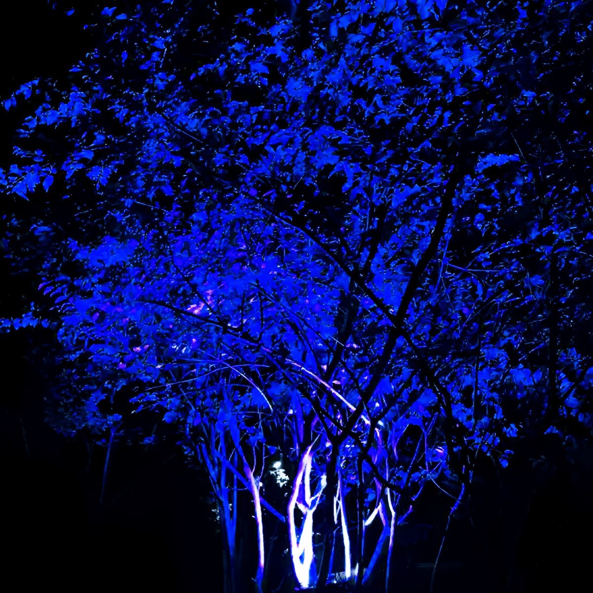 Projecteur RGB étanche pour arbres d'extérieur avec télécommande