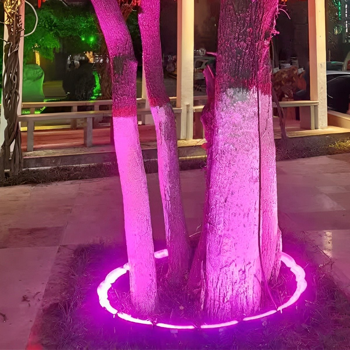 Lumières Spot LED Arc Étanches DIY pour Extérieur - Lumières pour Arbres et Pelouse