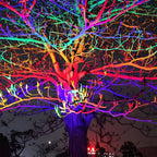 Projecteurs LED RGB étanches pour éclairage extérieur de paysage