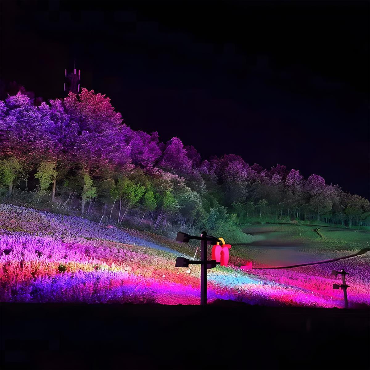 Projecteur LED RGB étanche extérieur pour éclairage de paysage et d'arbres polyvalent