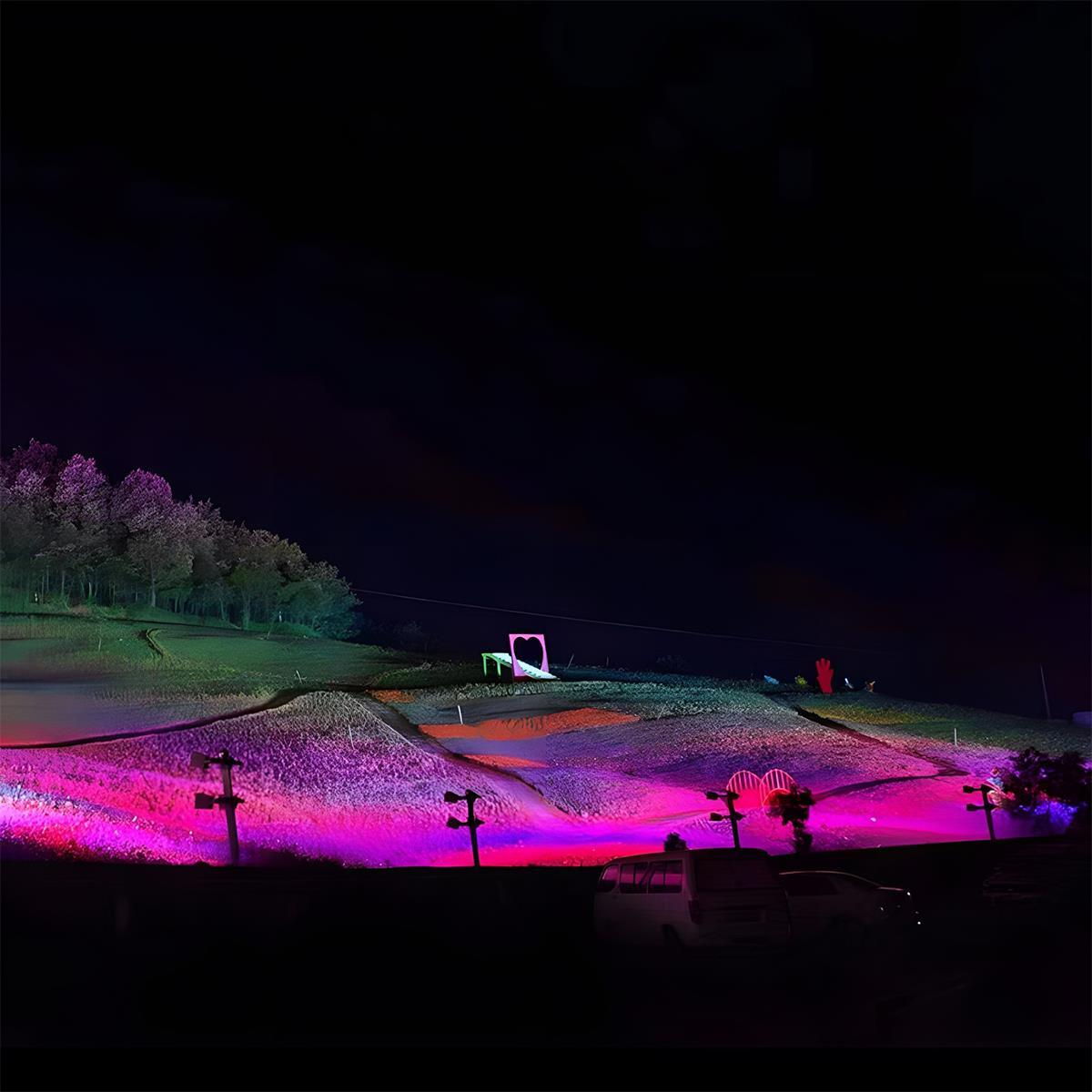 Projecteur LED RGB étanche extérieur pour éclairage de paysage et d'arbres polyvalent