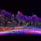 Projecteur LED RGB étanche extérieur pour éclairage de paysage et d'arbres polyvalent