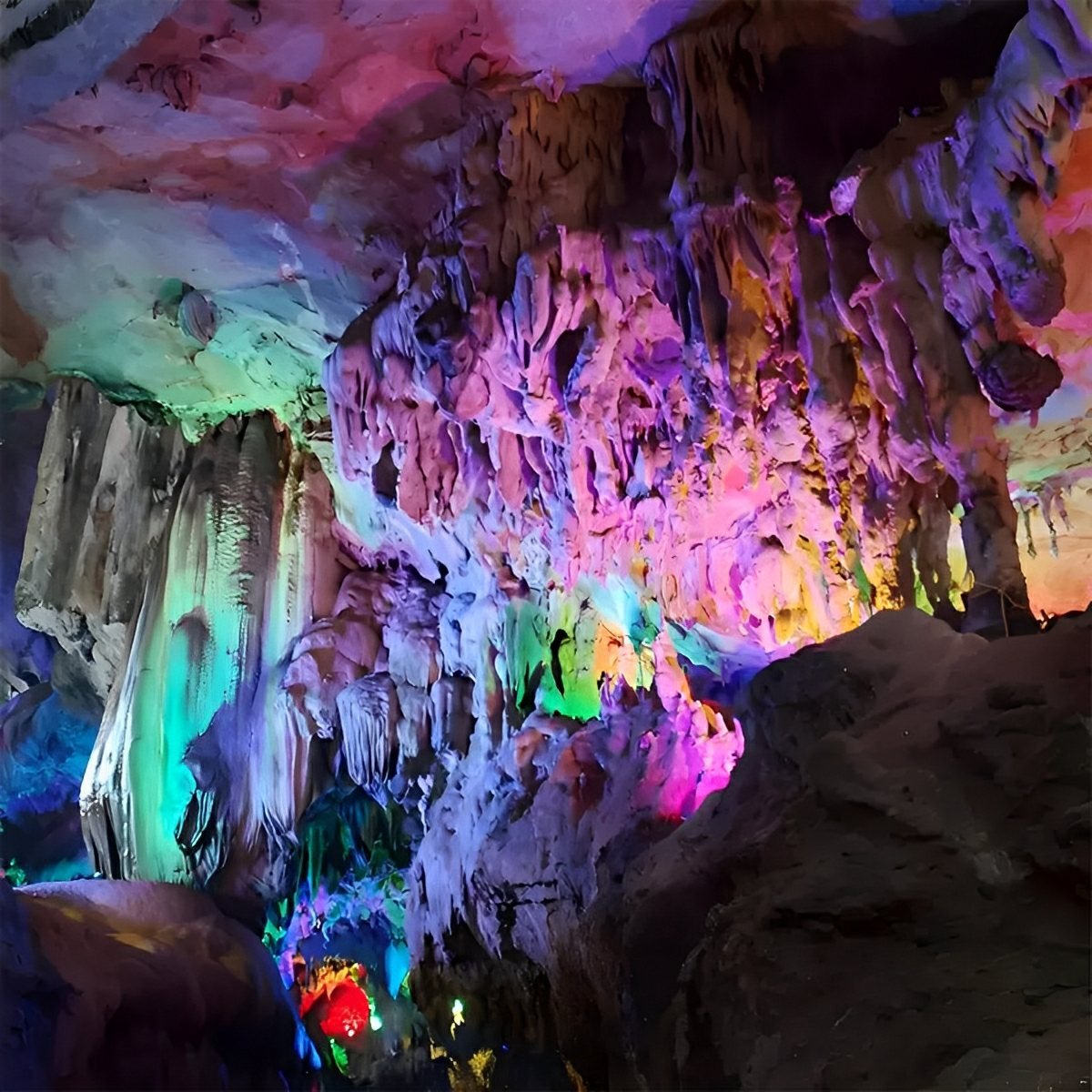 Projecteur LED RGB étanche pour extérieur, éclairage de paysage et d'arbres